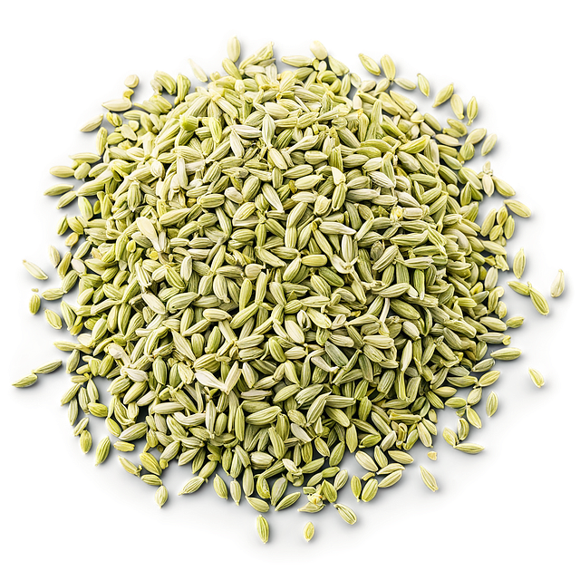Saunf (Fennel Seeds) – Complete Ayurvedic & Unani Health Guide